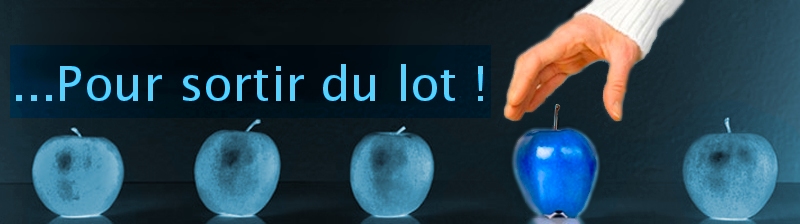 Nous analysons ensemble le trafic généré par le positionnement de votre site iaLINK analyse le trafic généré par le référencement